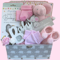 Baby Girl Gift Hamper - Itsy Bitsy