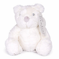 new teddy bear for baby