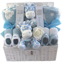 Double the Love Baby Gift Hamper for Boy Twins