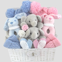 Pompom Baby Gift Hamper for Boy and Girl Twins
