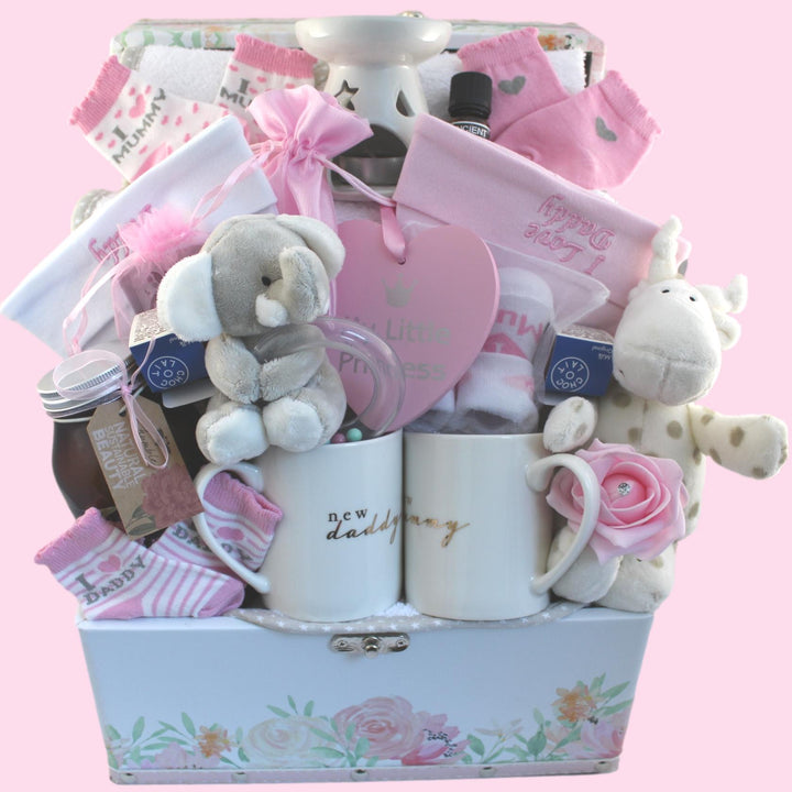 Zeronto Mom & Baby Girl Gift Basket - Garden of Pink Blossom – Baby Joy  Canada