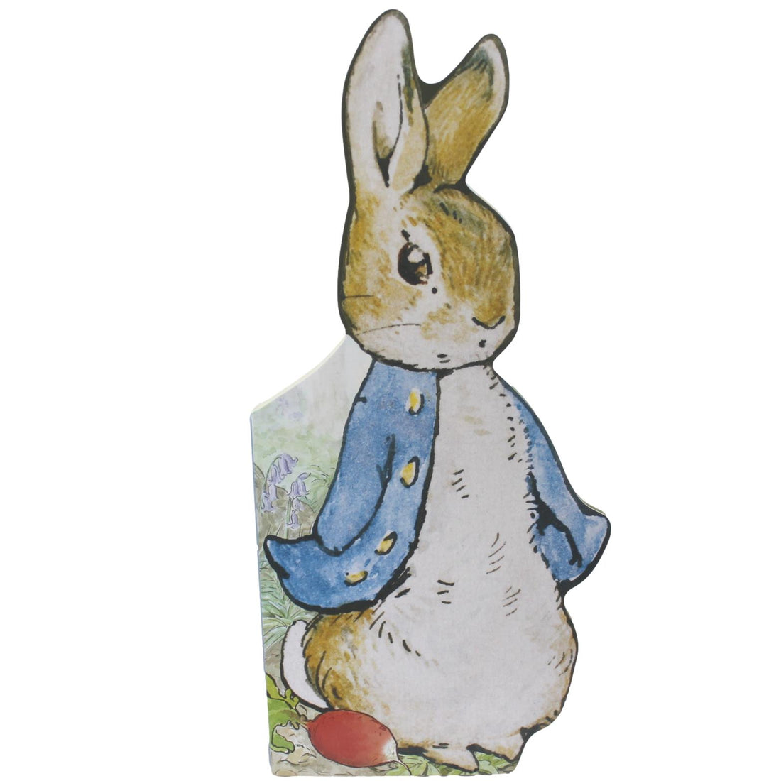 All about Peter Rabbit Baby Board Book