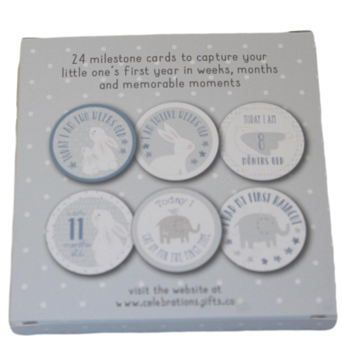 Baby Boy Milestone Cards Back