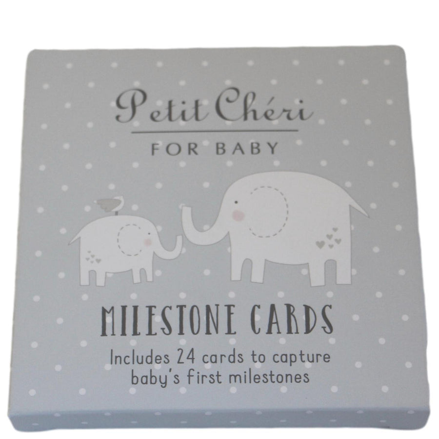 Baby Boy Milestone Cards