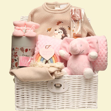 Baby girl elephant hamper with essentials for newborns
