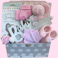 Baby Girl Gift Hamper - Itsy Bitsy