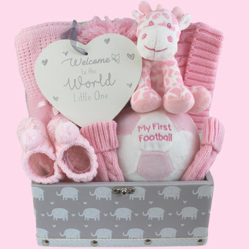 Baby Girl Gift Basket – baby gift baskets
