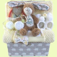 Moon and Back Baby Girl Gift Hamper