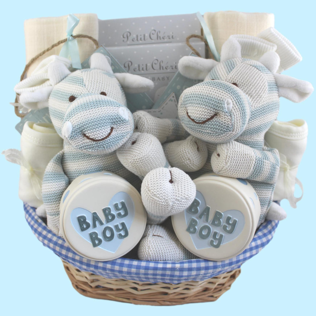 The Smallest Things Baby Gift Basket for Twin Boys