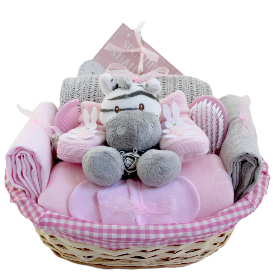 Sugar and Spice and All Things Nice Baby Girl Gift Basket