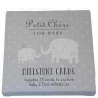 Baby Boy Milestone Cards