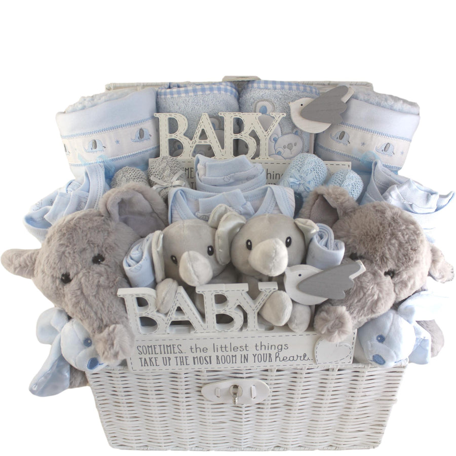 Bambino Deluxe Baby Boy Gift Hamper for Twin Boys