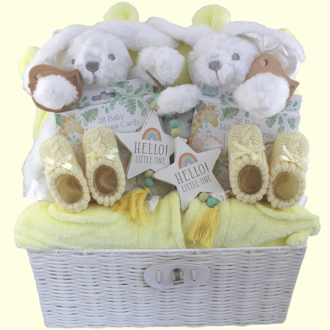 Double the Giggles Luxury Baby Gift Hamper for Twin Girls
