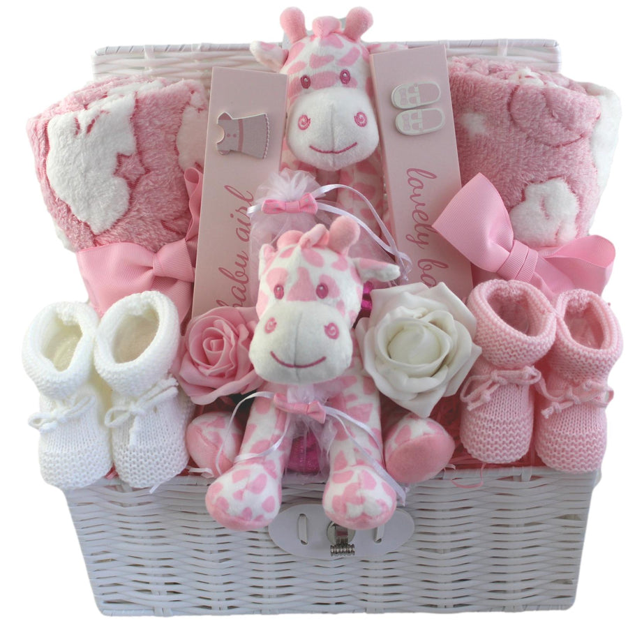 Double the Love Baby Gift Hamper for Twin Girls