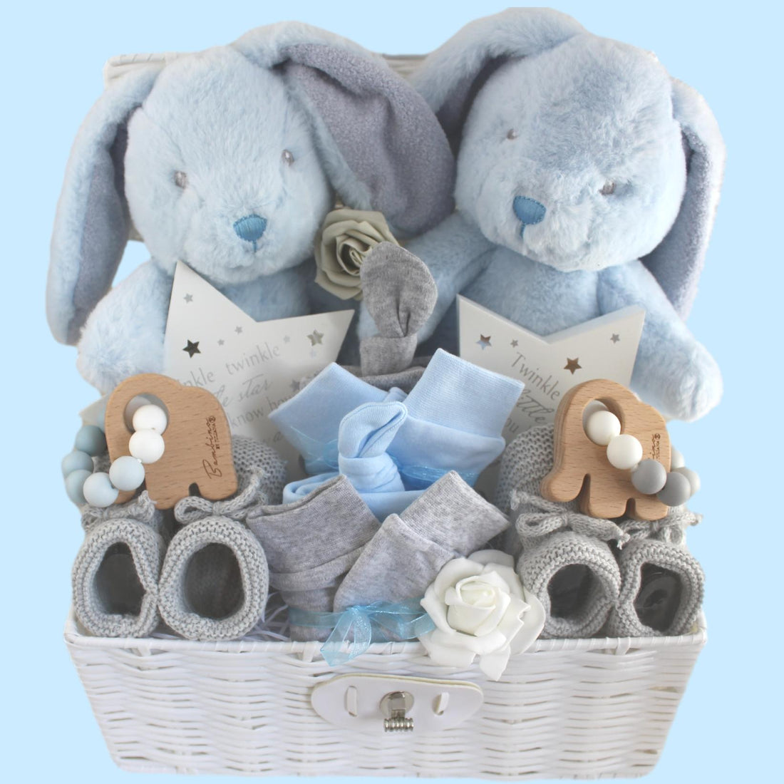 Little Eco Bunny Luxury Baby Gift Hamper for Twin Boys