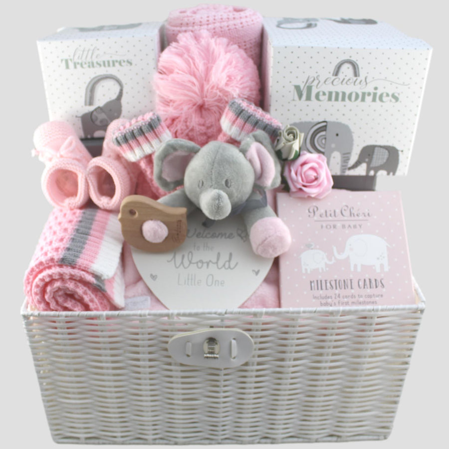 Milestones and Memories Baby Girl Gift Hamper